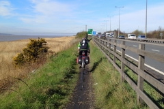 Cycleway meandering beside the Humber