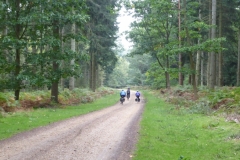 Woolfield