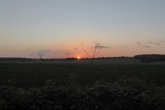 Sunset near Privett