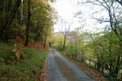 Descent through trees to Hay