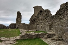 Montgomery Castle