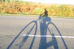 IMG-20221011-WA0021