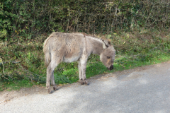 IMG-20221011-WA0022