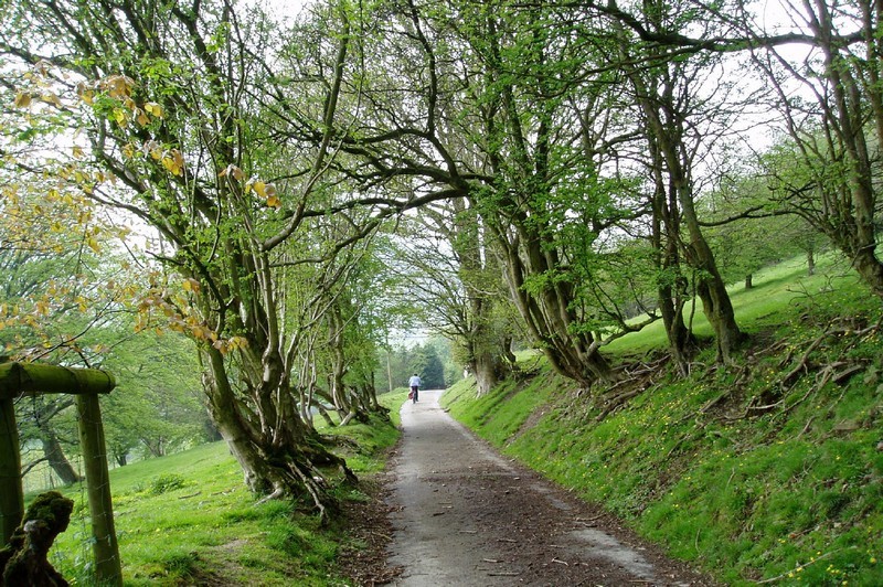 Taken on a Shropshire weekend, near Gladestry.